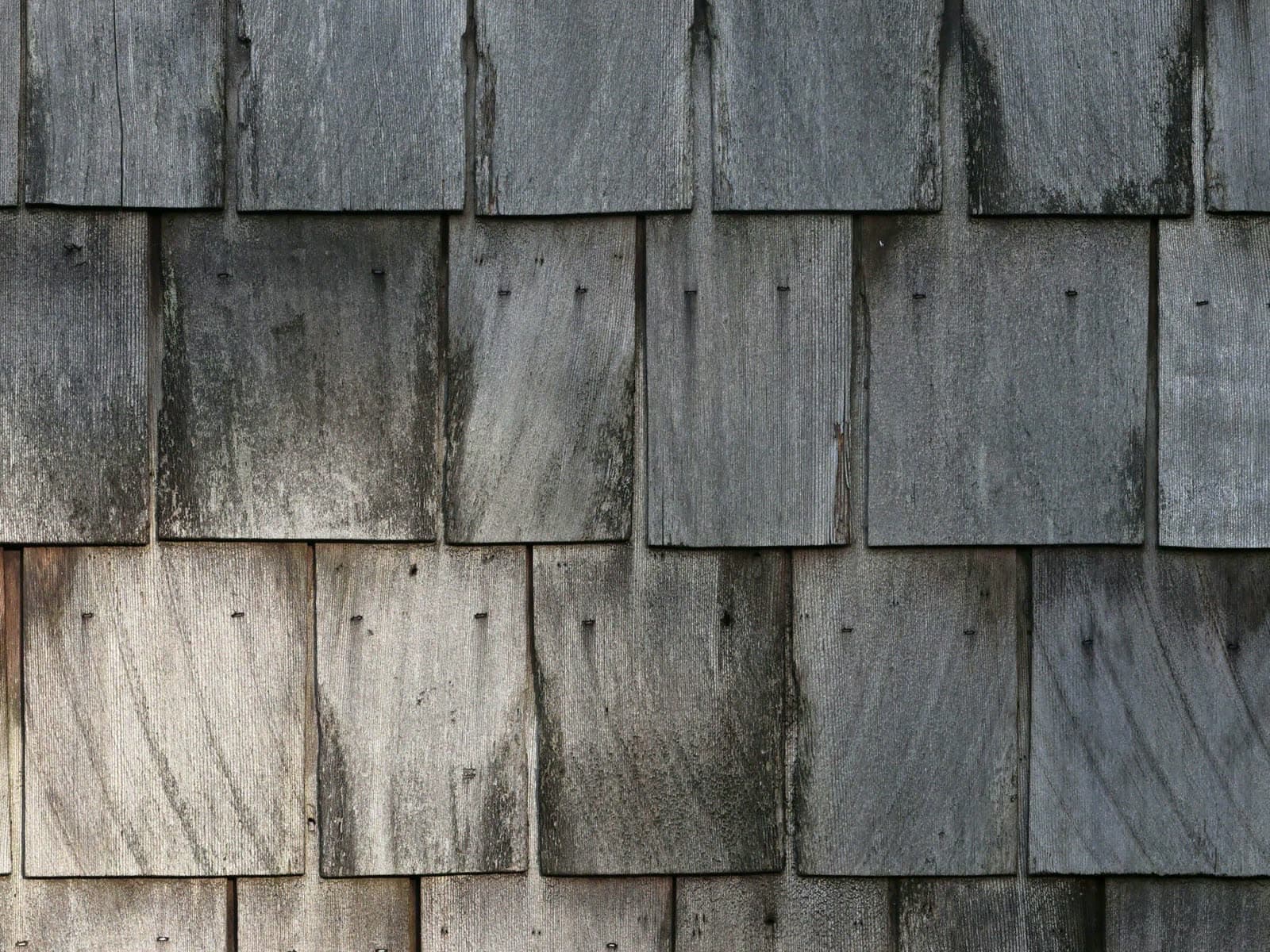 Cedar shingle coursing up close, mid-weathering